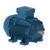 Motor de Patas