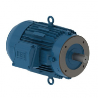 Motor de Flanges